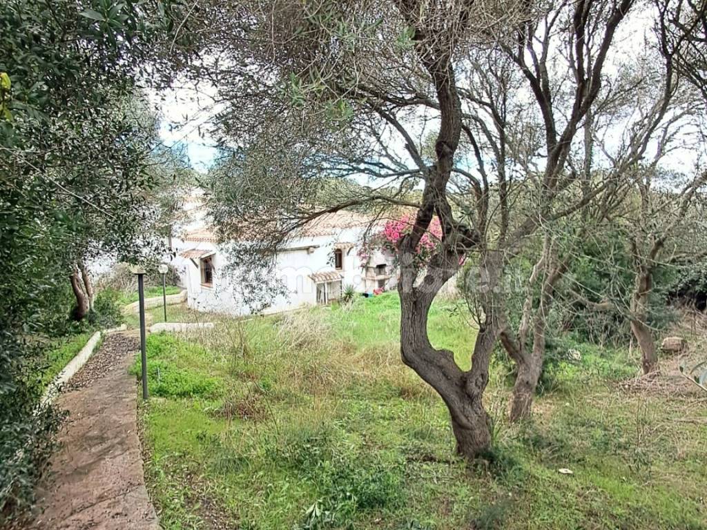 Terreno