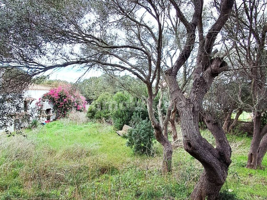 Terreno