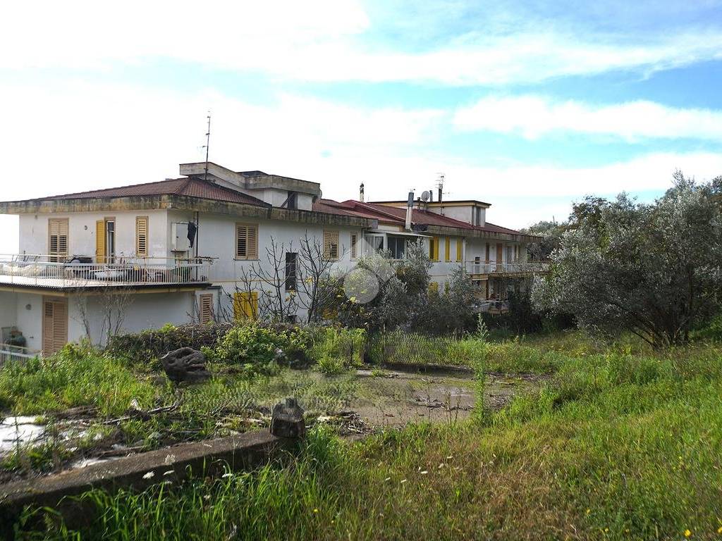 Terreno