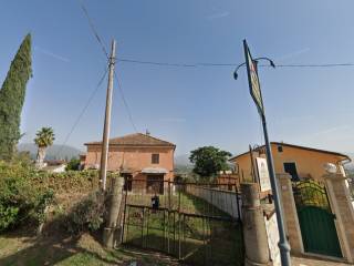 Vista