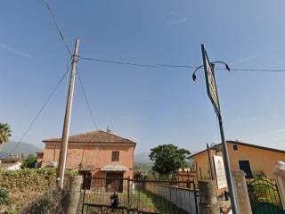 Zona