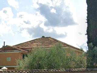 Zona
