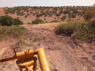 Terreno