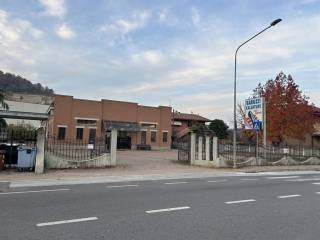 Zona
