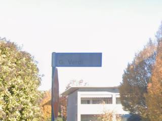 Zona