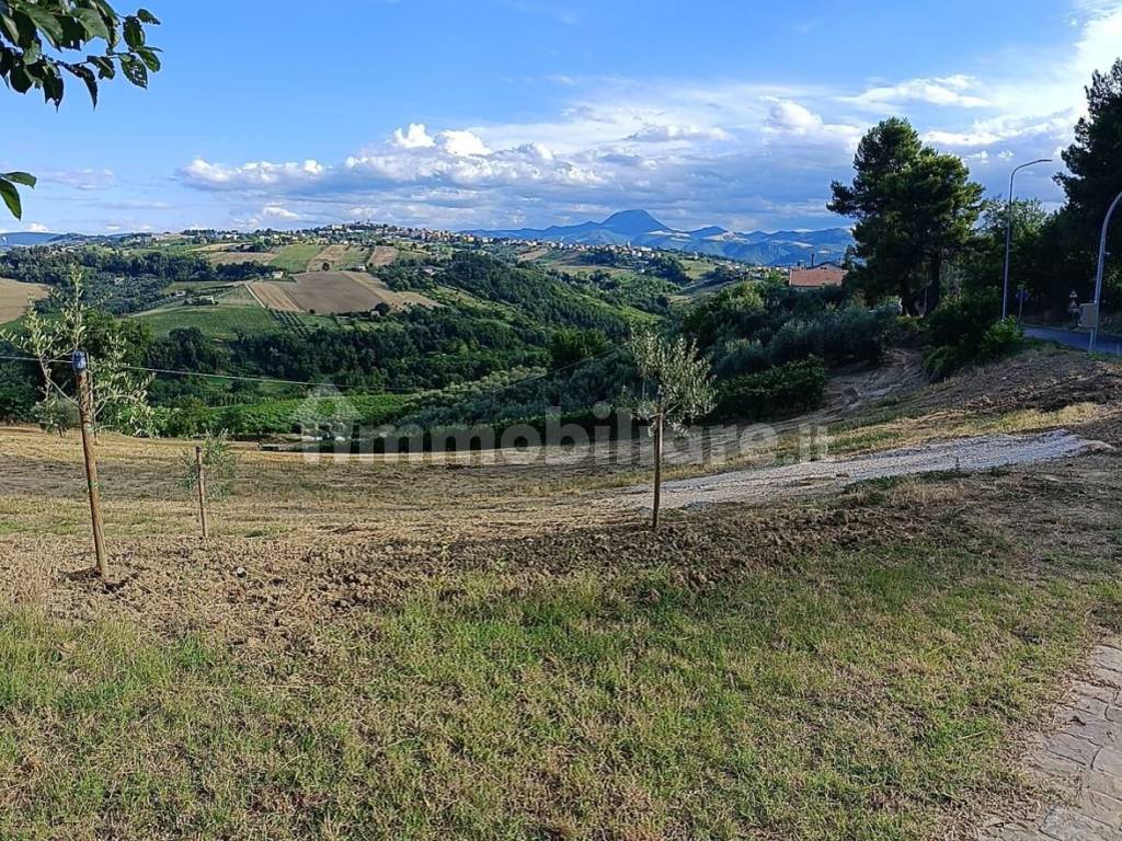 Vista