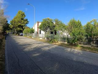 Zona
