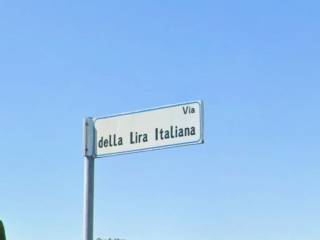 Zona