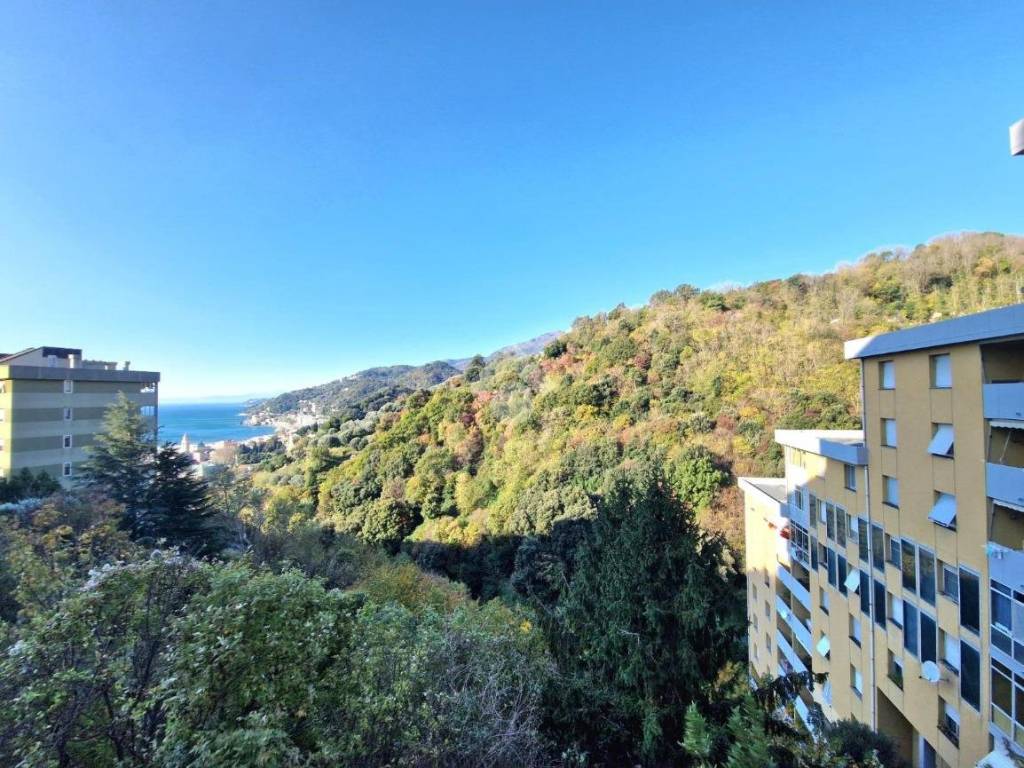 Vista