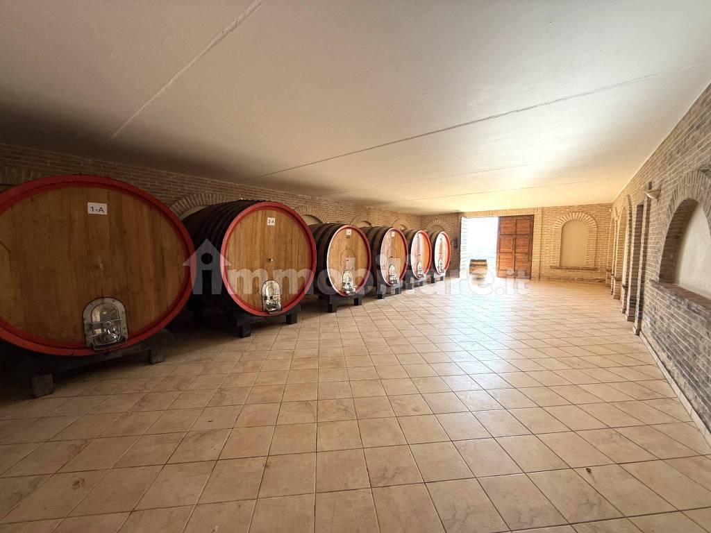Cantina