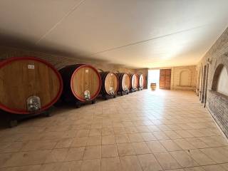 Cantina