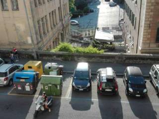 Zona