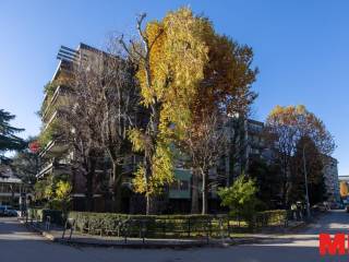 Zona