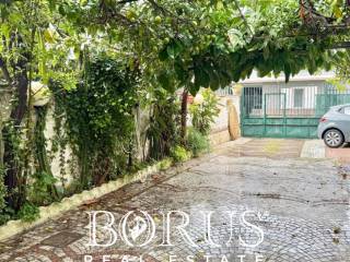 Zona