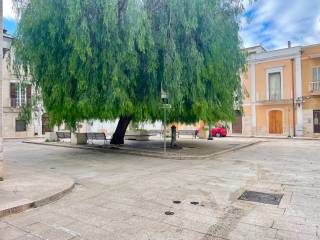 Zona