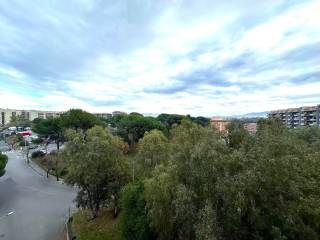 Vista
