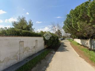 Zona
