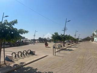 Zona