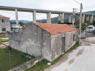 Zona