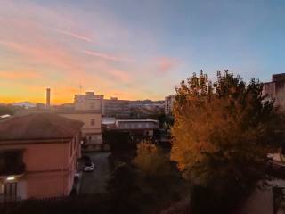 Vista