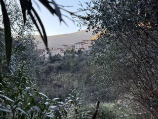 Vista