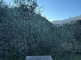 Vista