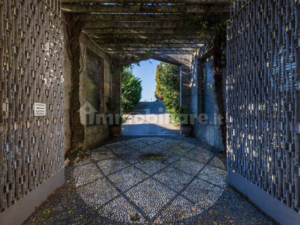 Ingresso