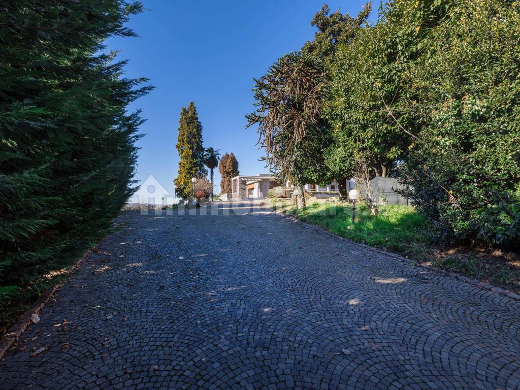 Giardino