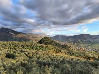 Vista