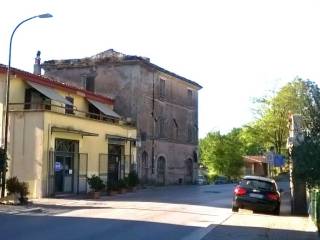Zona
