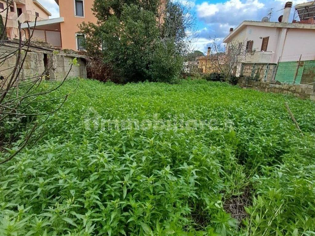 Terreno