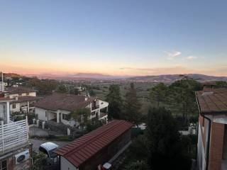 Vista
