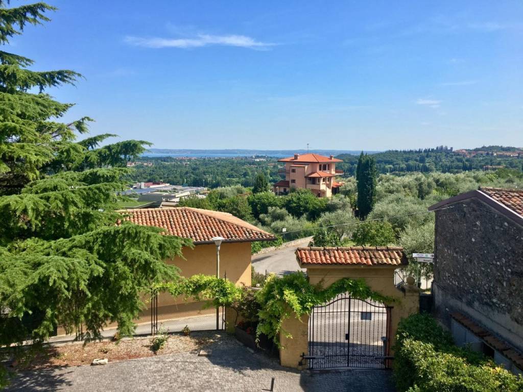 Vista