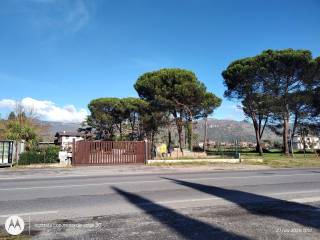 Zona