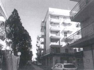 Zona
