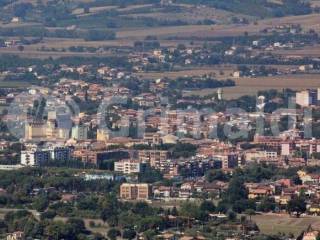 Zona