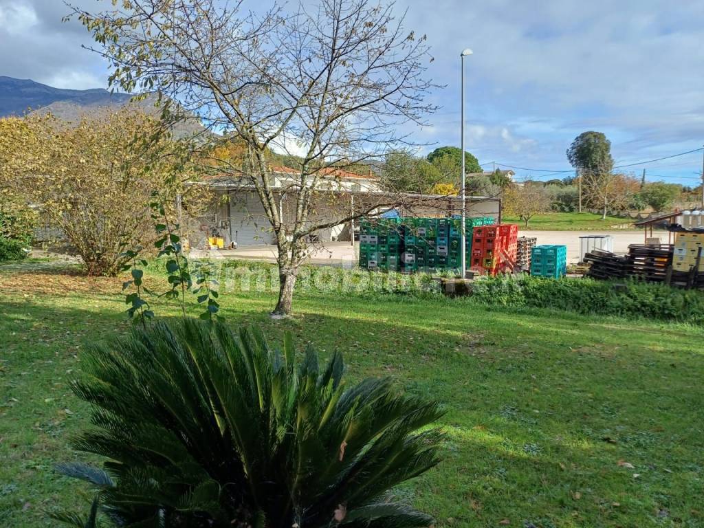 Terreno