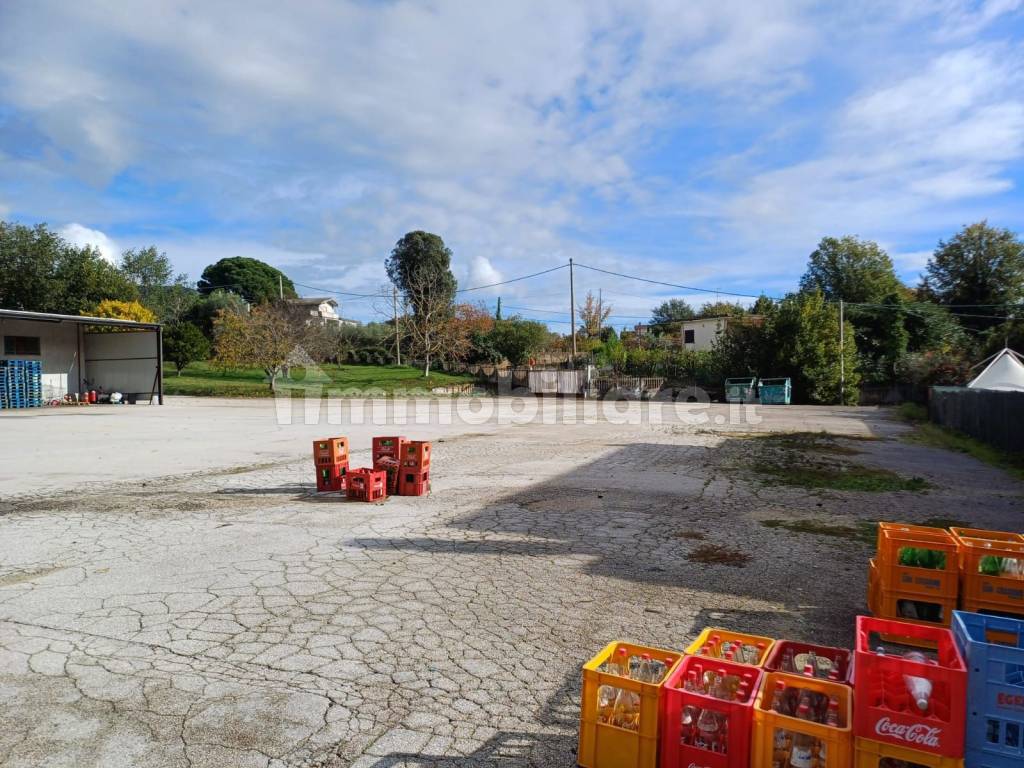 Terreno