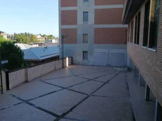 Zona