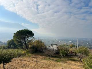 Vista