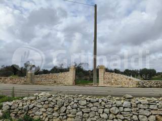 Zona