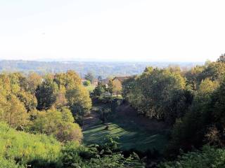 Vista