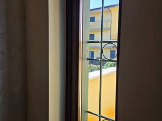 Vista
