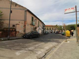 Zona