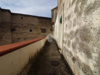 Zona