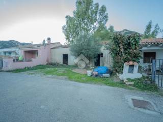 Zona
