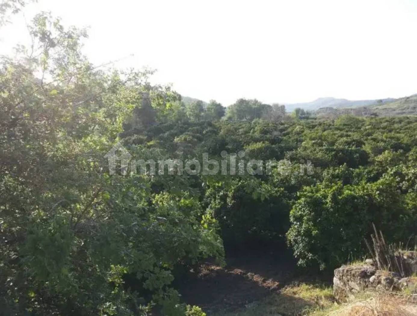 Masseria s agroturistickou činností a 6 hektary pozemku na prodej ve Stilu - 2