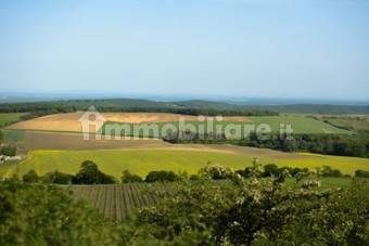 Appartamento in vendita a Giarre