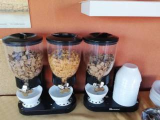 Altro