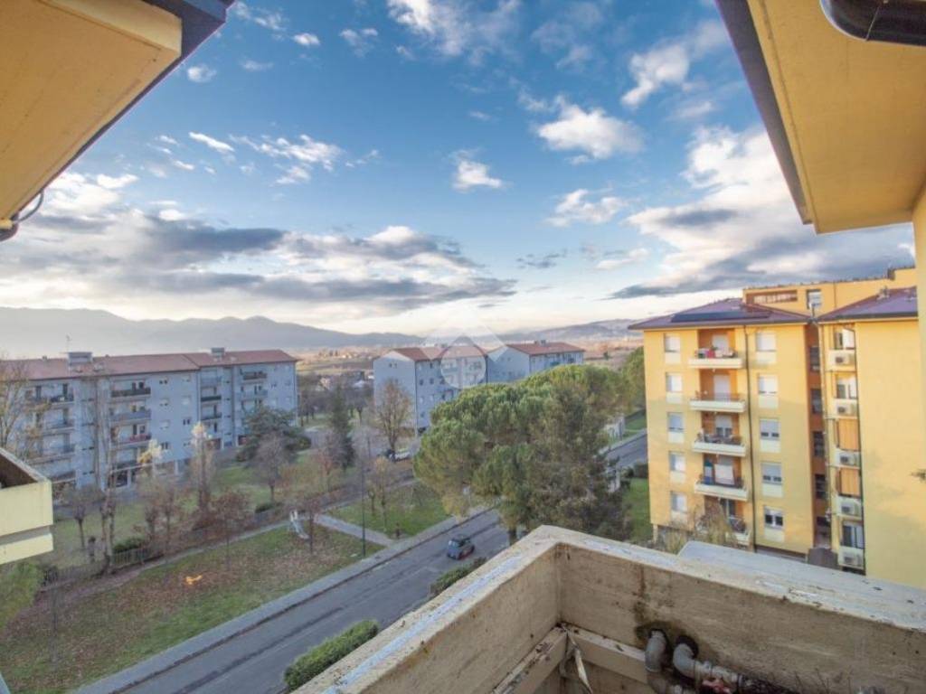 Vista